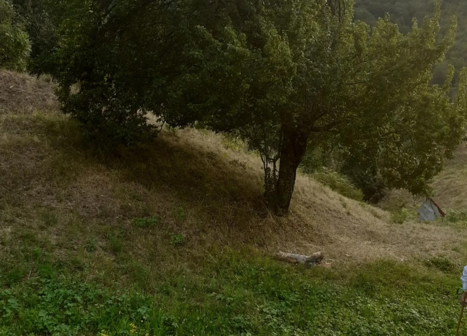 Rrajc Skenderbe Konuk evi Librazhet Kır Evi