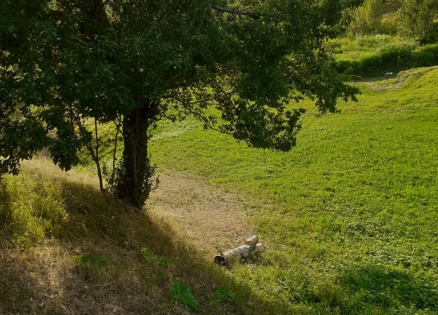 Rrajc Skenderbe Konuk evi Librazhet